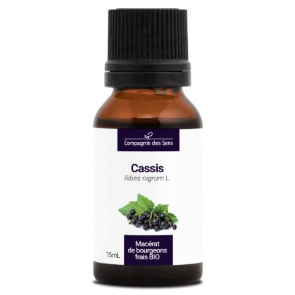 Grégory Baschet praticien MTC Gemmothérapie cassis